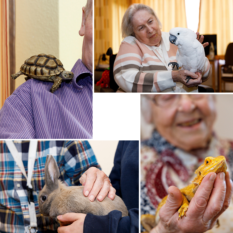 Foto von Senioren mit Tieren wie Hase, Papagei, Schildkröte oder Leguan