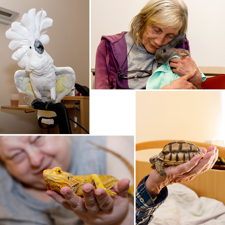 Foto von Senioren mit Tieren wie Hase, Papagei, Schildkröte oder Leguan