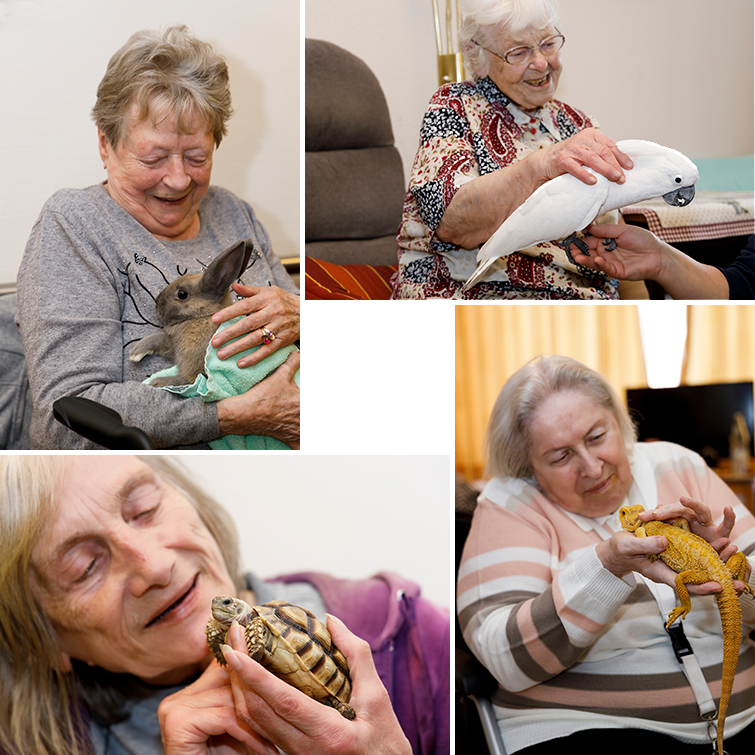 Fotos Senioren mit Tieren wie Hase, Papagei, Schildkröte oder Leguan