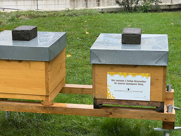Foto der neuen Bienenstöcke mit Infoschild