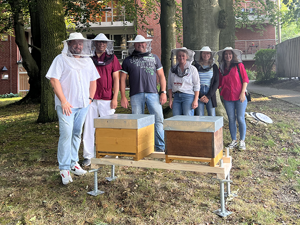 Foto Aufstellung der Bienenstöcke
