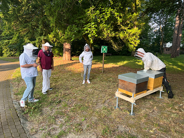 Foto der Bienenstöcke und interessierte Mitarbeiter
