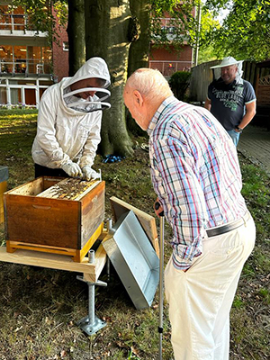 Foto interessierter Senior bei den Bienenstöcken