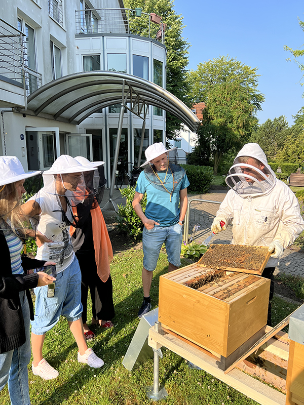 Mitarbeiter lassen sich den Bienenstock genauer zeigen